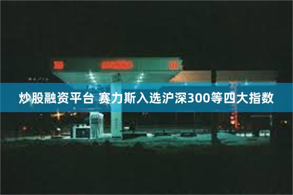 炒股融资平台 赛力斯入选沪深300等四大指数