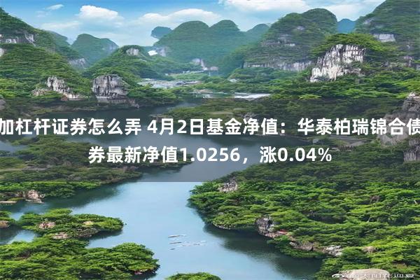 加杠杆证券怎么弄 4月2日基金净值：华泰柏瑞锦合债券最新净值1.0256，涨0.04%