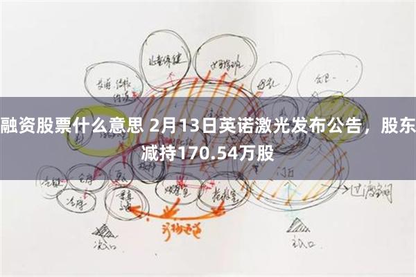 融资股票什么意思 2月13日英诺激光发布公告，股东减持170.54万股
