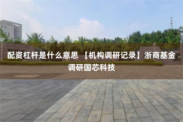 配资杠杆是什么意思 【机构调研记录】浙商基金调研国芯科技
