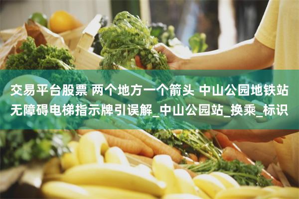 交易平台股票 两个地方一个箭头 中山公园地铁站无障碍电梯指示牌引误解_中山公园站_换乘_标识