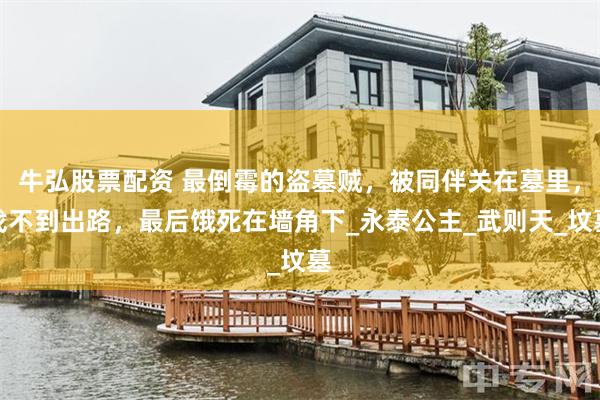 牛弘股票配资 最倒霉的盗墓贼，被同伴关在墓里，找不到出路，最后饿死在墙角下_永泰公主_武则天_坟墓