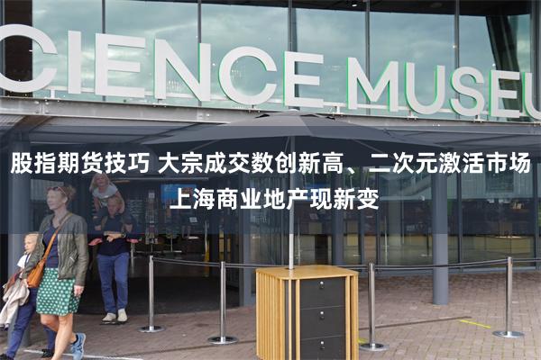 股指期货技巧 大宗成交数创新高、二次元激活市场 上海商业地产现新变