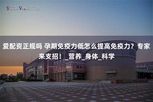 爱配资正规吗 孕期免疫力低怎么提高免疫力？专家来支招！_营养_身体_科学