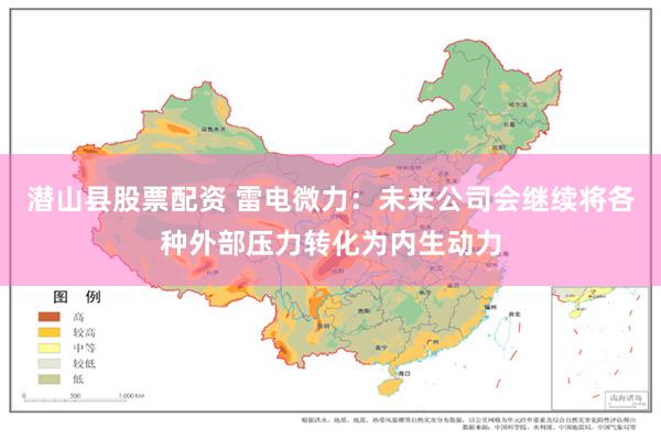 潜山县股票配资 雷电微力：未来公司会继续将各种外部压力转化为内生动力