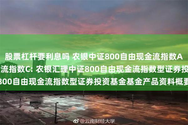 股票杠杆要利息吗 农银中证800自由现金流指数A,农银中证800自由现金流指数C: 农银汇理中证800自由现金流指数型证券投资基金基金产品资料概要