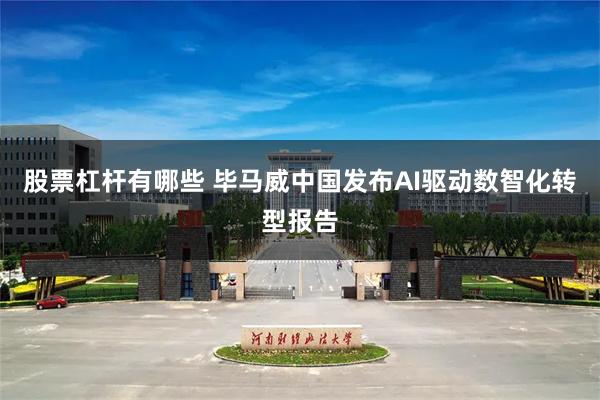 股票杠杆有哪些 毕马威中国发布AI驱动数智化转型报告