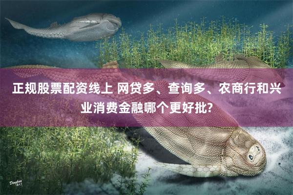 正规股票配资线上 网贷多、查询多、农商行和兴业消费金融哪个更好批?