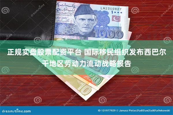 正规实盘股票配资平台 国际移民组织发布西巴尔干地区劳动力流动战略报告