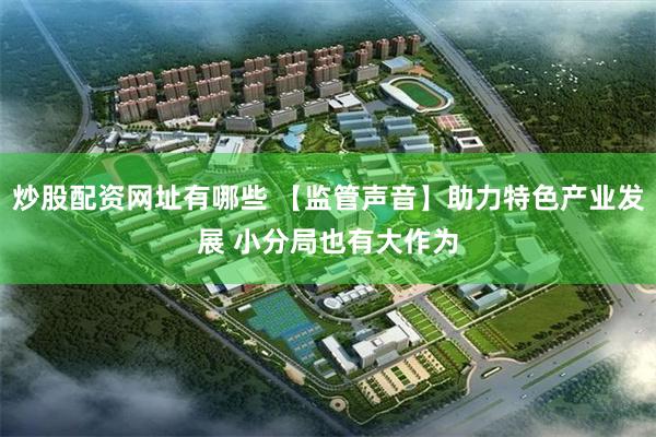 炒股配资网址有哪些 【监管声音】助力特色产业发展 小分局也有大作为