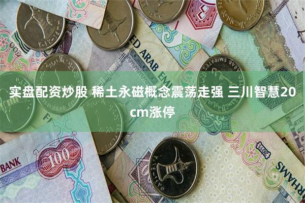 实盘配资炒股 稀土永磁概念震荡走强 三川智慧20cm涨停