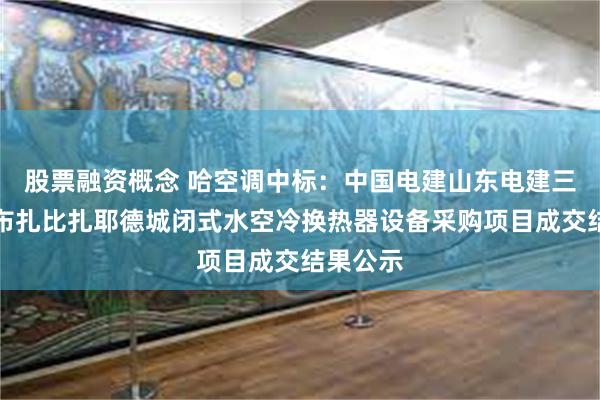 股票融资概念 哈空调中标：中国电建山东电建三公司阿布扎比扎耶德城闭式水空冷换热器设备采购项目成交结果公示