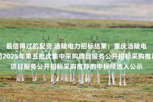最信得过的配资 涪陵电力招标结果:重庆涪陵电力实业股份有限公司2025年第五批次集中采购项目服务公开招标采购推荐的中标候选人公示