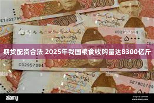 期货配资合法 2025年我国粮食收购量达8300亿斤